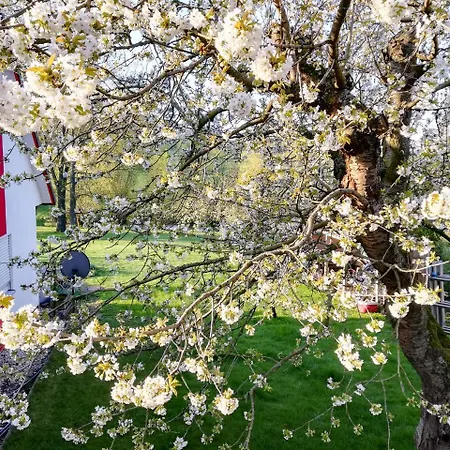 Goermer Mit Wasserbett Schmölln