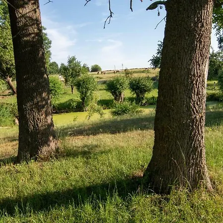 Goermer Mit Wasserbett Сasa de vacaciones *