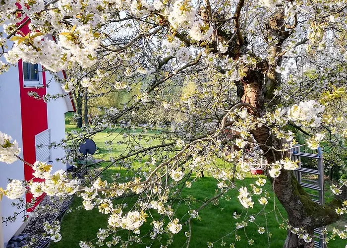 Goermer Mit Wasserbett Schmölln