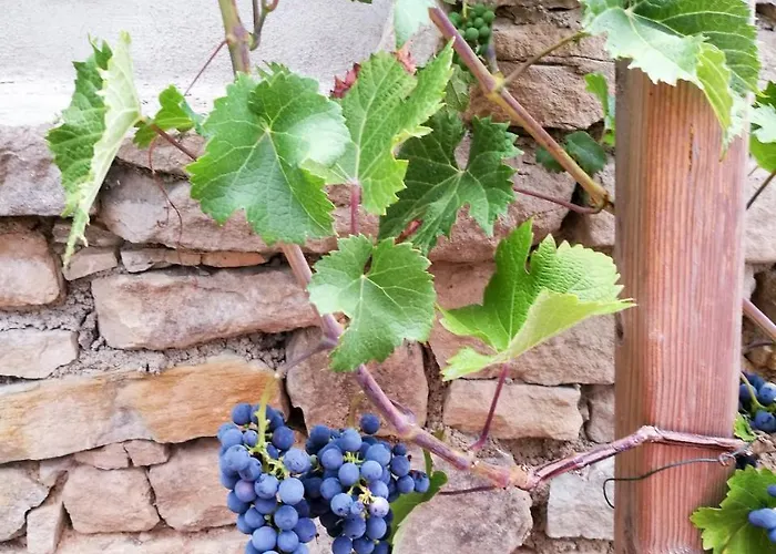 Goermer Mit Wasserbett Nyaraló Schmölln